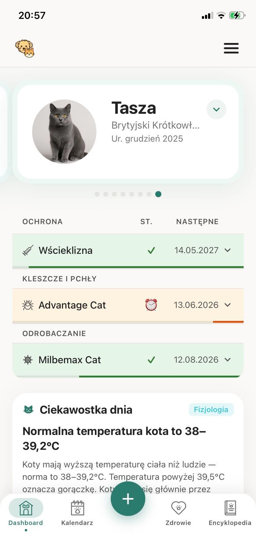 Dashboard with daily pet care summary